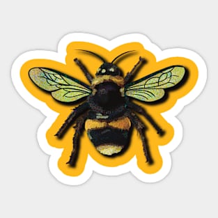 Basic Bee-tch Sticker